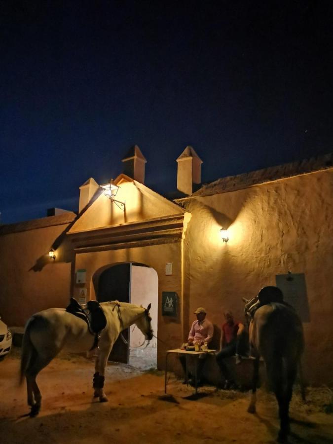 Albergue Turistico La Almazara Villafranca de los Barros Extérieur photo